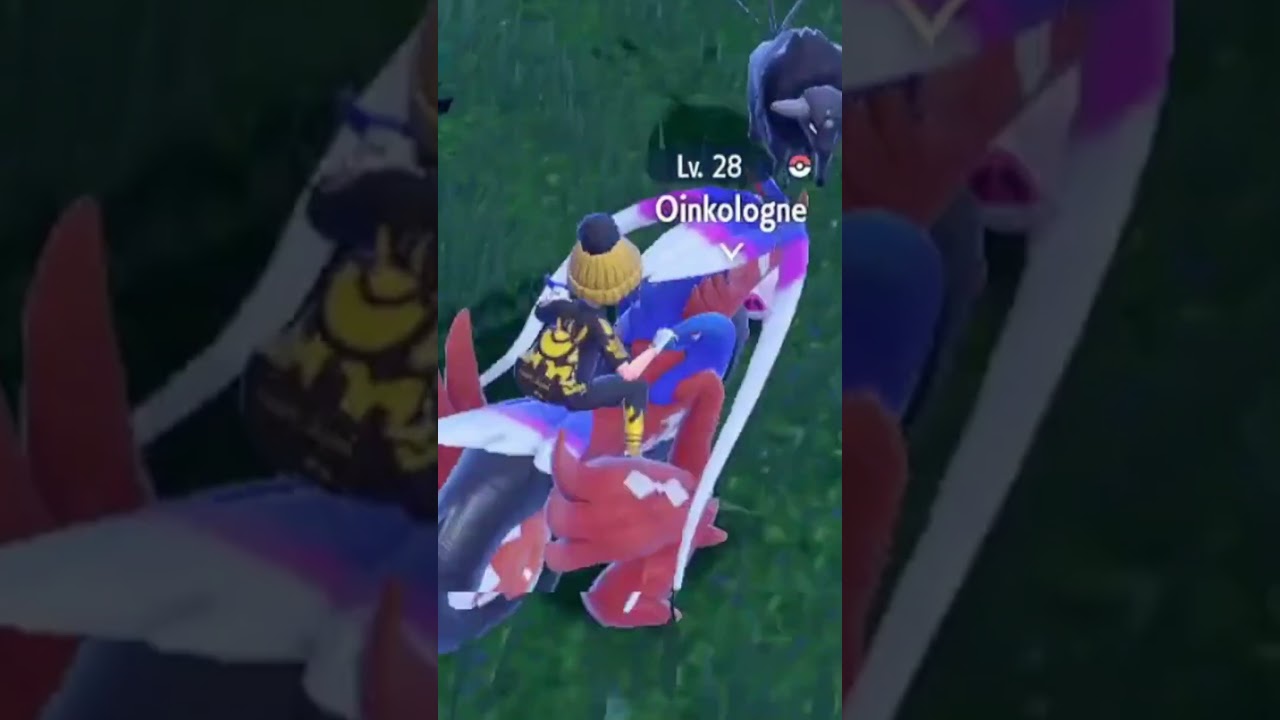 My first on stream shiny!! ✨🐖 