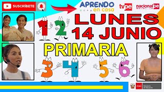 APRENDO EN CASA ✅ LUNES 14 DE JUNIO PRIMARIA - TV PERÚ