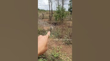 1000m2 Đất gần đường dẫn sân bay Phan Thiết #Shorts | Hiệp Bất Động Sản Official