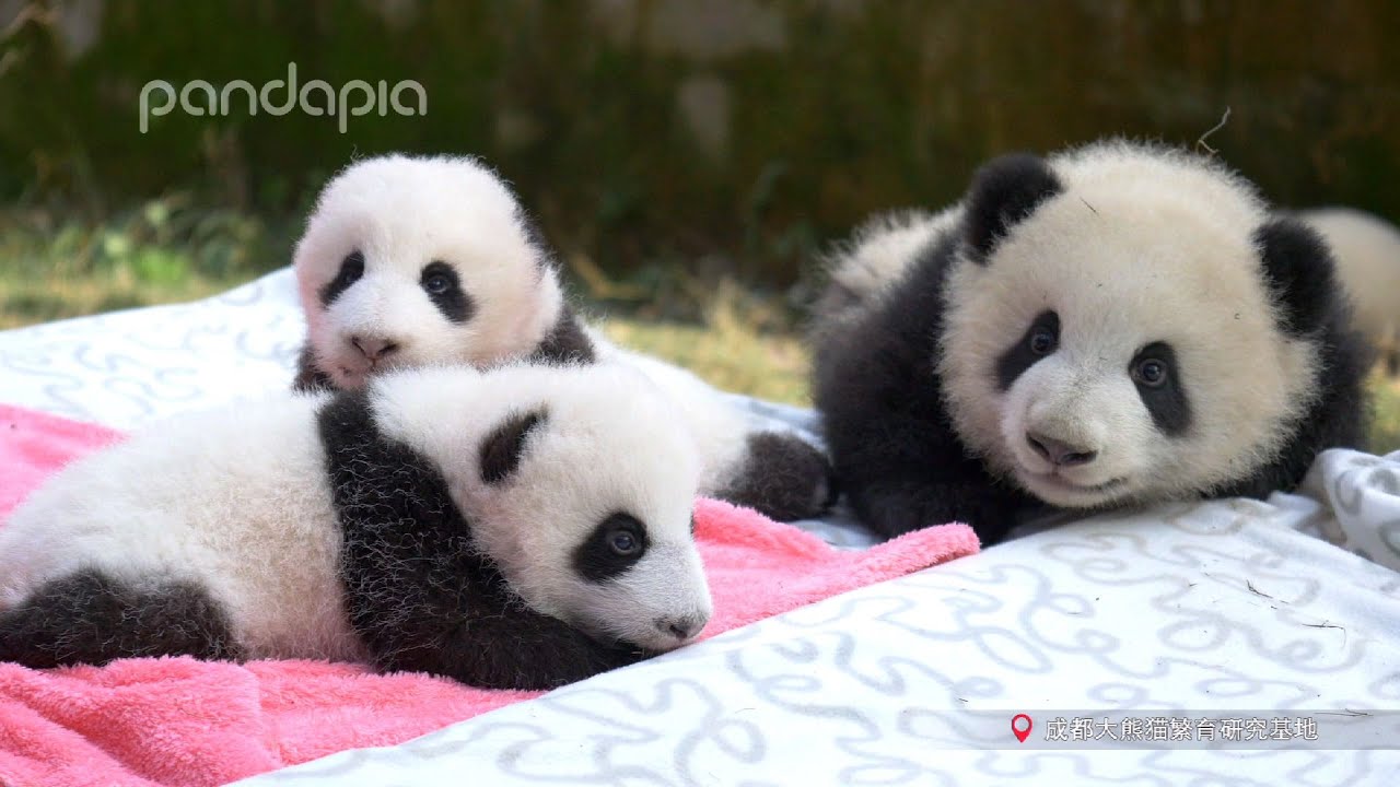 日光浴だよ〜 - YouTube