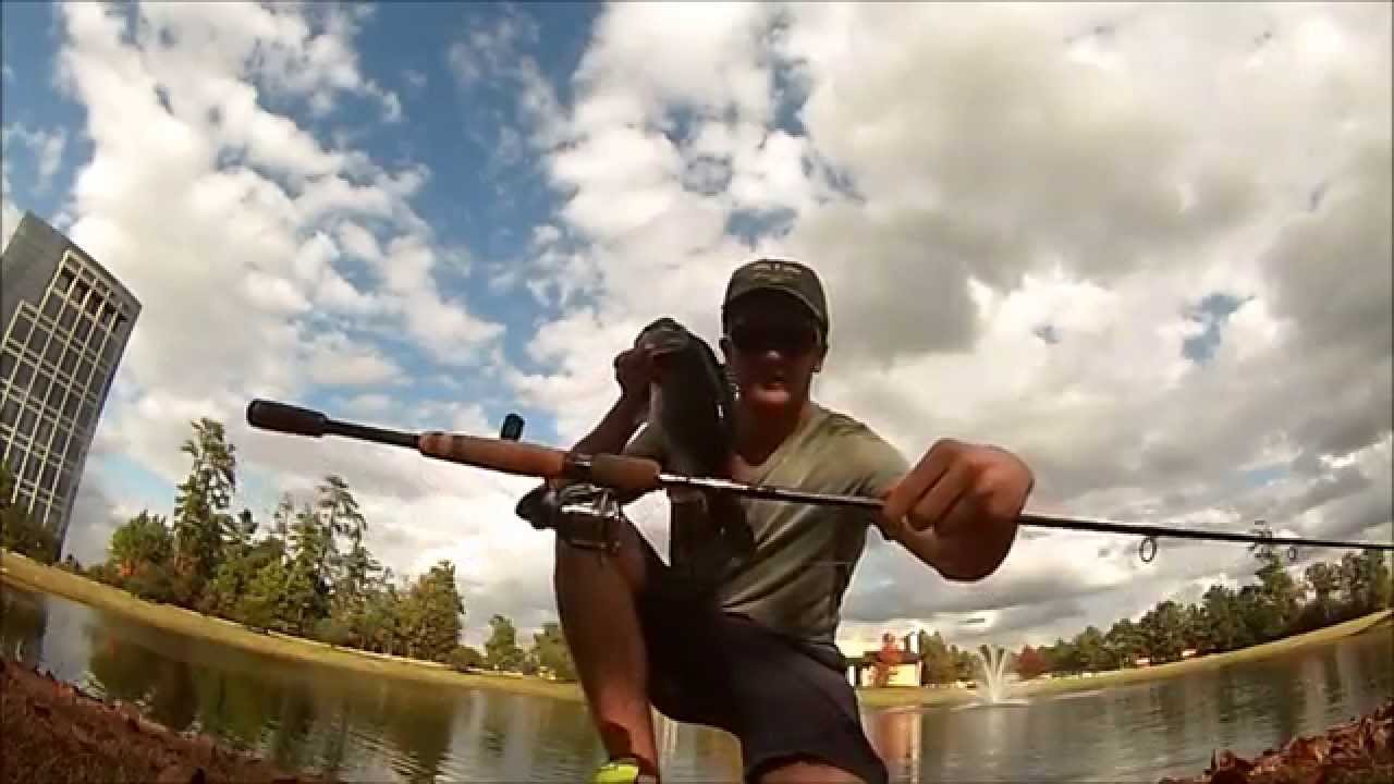 fenwick hmx casting rod