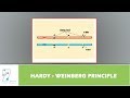 Decoding Hardy-Weinberg Equilibrium And Its Impact On Allele Frequencies