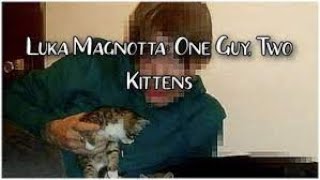 1 Boy 2 Kittens Video