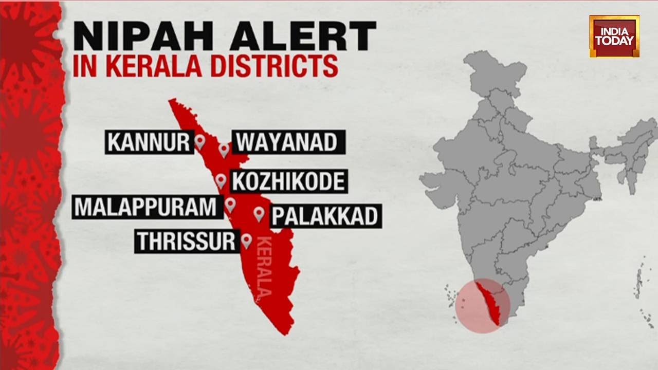Kerala On High Alert: Second Nipah Virus Death Confirmed, 46 Close Contacts Traced | India Today