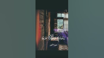 سورة النور الآيه ﴿ 35﴾ Surat Al nour #quran #freepalestine