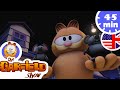 Garfield and the mice! - New Selection