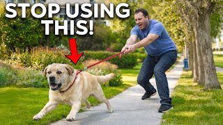 Why 90% of Reactive Dog Training Fails (The Real Fix!)
