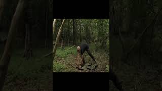 #shorts 10 Stealth Camping Shelters Tips and Skills#Survival #Building