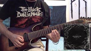Insomnium - Heart Like a Grave (Guitar Solo Cover)