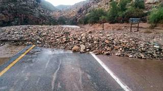 South Africa Today on 25 March 2026