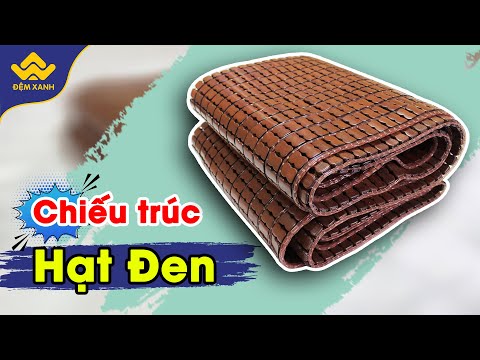 Video Review chiếu trúc hạt đen - youtube