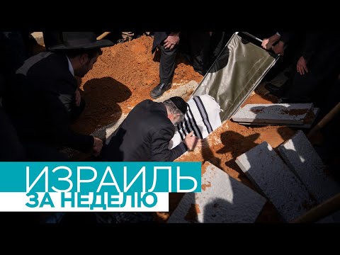 Video: Ай календары боюнча 2022 -жылдын февралында капустаны качан туздаш керек