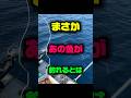【釣り】まさかあの魚が釣れるとは　#釣り #海 #アウトドア
