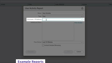 45 Example Reports