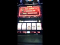 INSANE Amount of Free Spins on Buffalo Grand Slot Machine ...
