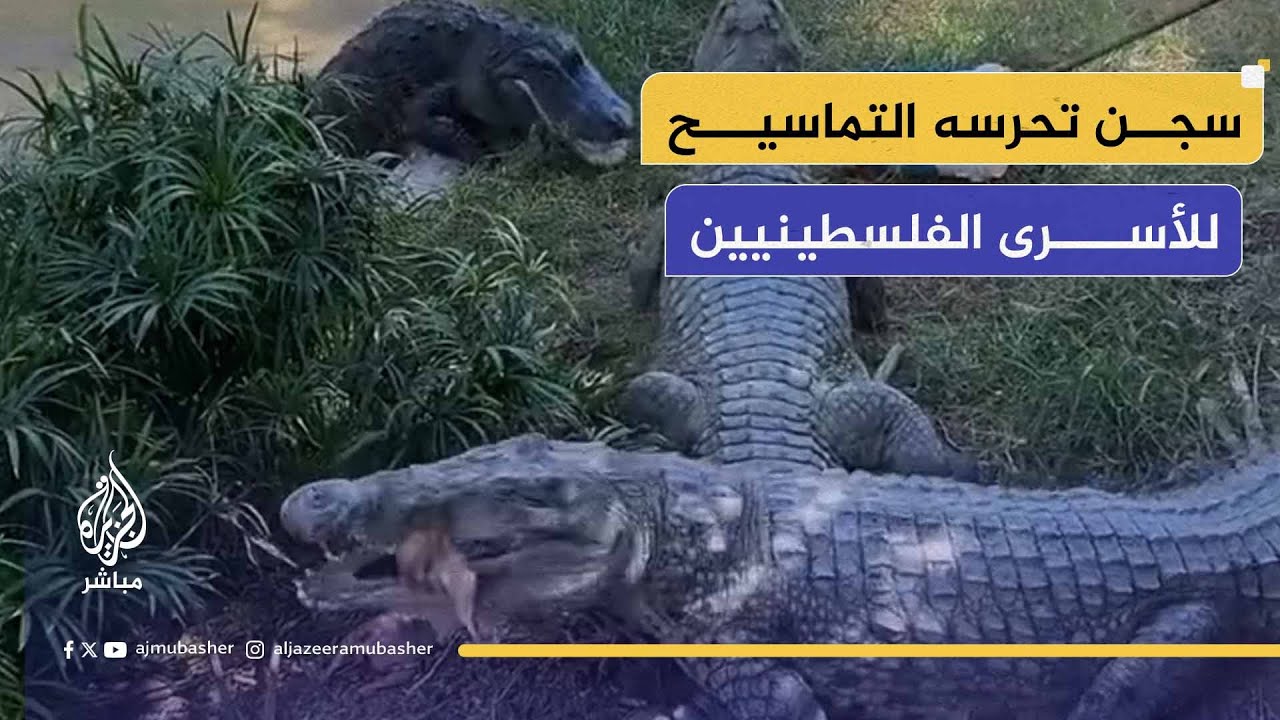 سجن تحرسه التماسيح للأسرى الفلسطينيين