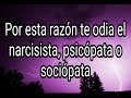 POR ESTA RAZÓN TE ODIA EL NARCISISTA PSICÓPATA O SOCIÓPATA Narcisista Psicópata Sociópata Tpn POR ESTA RAZÓN TE ODIA EL NARCISISTA PSICÓPATA O SOCIÓPATA Narcisista Psicópata Sociópata Tpn