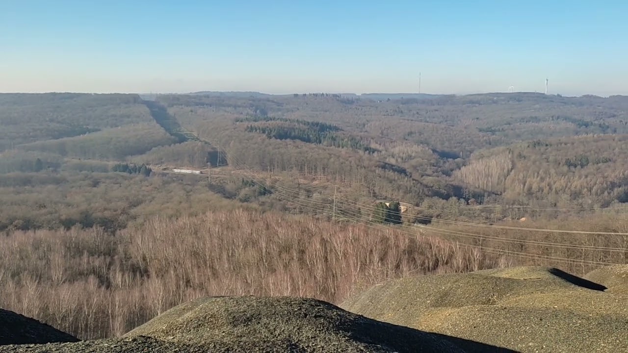 Blick von der Saarbrücker Grühlingshalde auf einen Vlexx-Zug