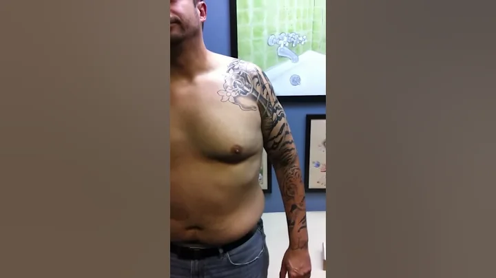 Tiger Sleeve by Terry Mayo