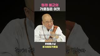 원래 불교의 가르침은 이것 #법륜스님 #법륜스님쇼츠 #법륜쇼츠 #즉문즉설 #정토불교대학 #지혜의 가르침