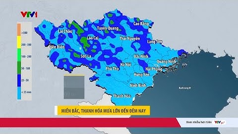 Thời tiết 2/7: Miền Bắc mưa lớn đến đêm nay, cảnh báo lũ trên các sông | VTV24