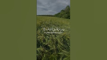 سورة الفلق #foryou #fypシ #morocco #oumwalid #alger #شاف_فارس #الجزائر #المغرب