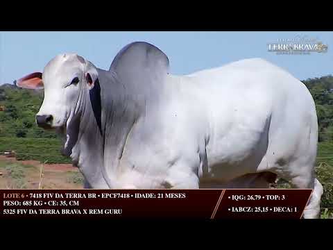 LOTE 06   EPCF 7418