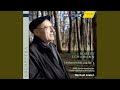 Miniature de la vidéo de la chanson Sinfonie Nr. 3 In E Flat Major - Rhenish- Op. 97 - Lebhaft