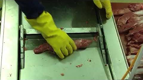 Nock Cortex V560N Skinner