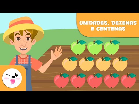 Vídeo: Onde é a casa das centenas?