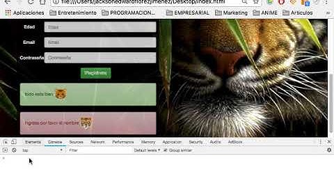 12. Javascript validación del formulario parte 3
