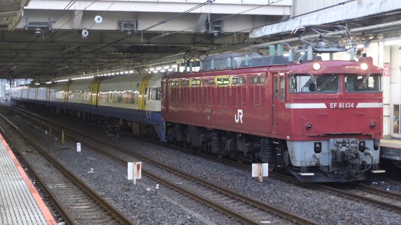 EF81-134+255系Be-04編成 秋田入場配給(廃車回送) 大宮駅到着