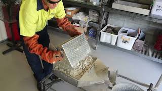 What happens during cremation
