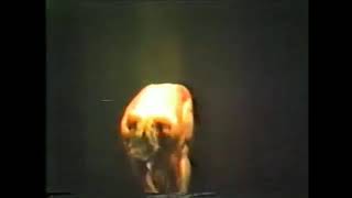tom platz 1982 guest posing