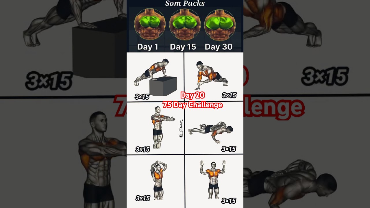 chest workout | chest exercises | chest workout gym |