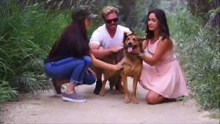 Day Tripper Program Promo SPCA of Northern Nevada