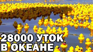 Как 28000 Резиновых Уточек Изменили Океан | How 28000 Rubber Ducks Changed the Ocean