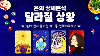 타로] 곧 내 삶에 달라질 상황들에 대해 소름돋을 만큼 자세히 타로카드의 예언을 들어볼게요