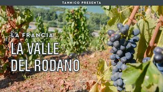 I migliori vini della valle del Rodano | Tannico Flying School