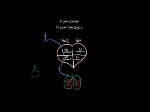 Pulmoner Hipertansiyon Nedir? (Fen Bilimleri) (Sağlık ve Tıp)