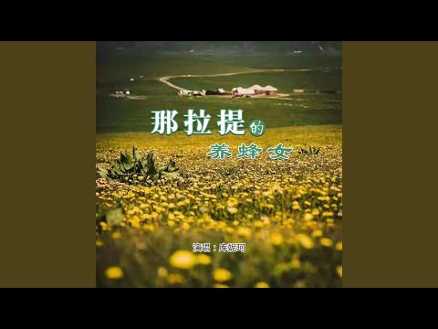 那拉提的养蜂女