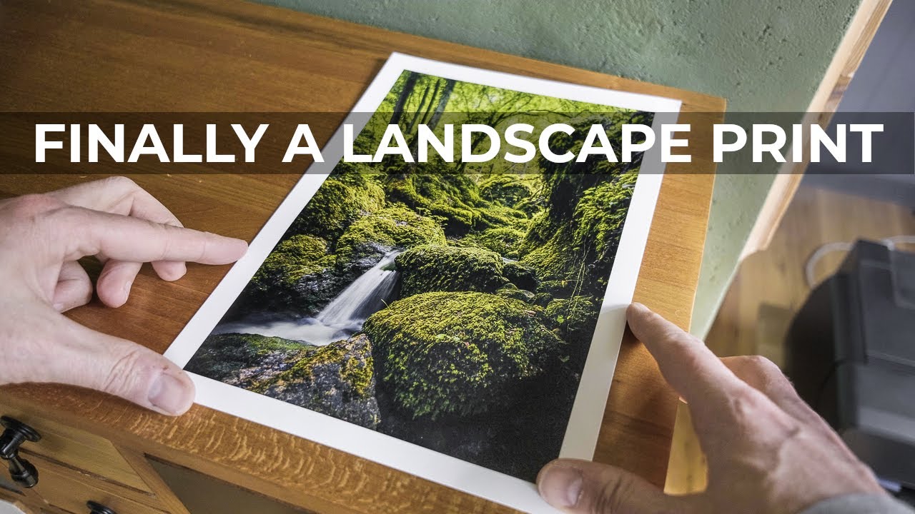 Welcome to (Swiss!) Jungle Landscape Photography