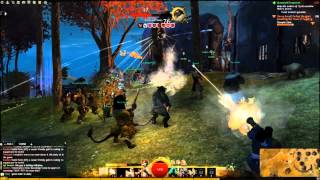 Guild Wars 2 Launch Days In a Nutshell