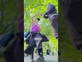 Dance Like Nobody’s Watching | Funky R&B Feel-Good Song Made with Suno