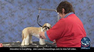 Free Preview: Cute Shih Tzu Trim: Grooming by the Numbers - Blending by Learn2GroomDogs.com 174 views 3 months ago 1 minute, 52 seconds
