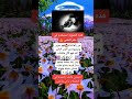 صورة تستخدم في علم النفس لمعرفة حالتك النفسية علم النفس