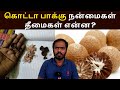 கொட்டா பாக்க்கில் இவ்வளவு  நன்மைகள் தீமைகளா..!! Kotta Pakku - Anmai adhikarika tamil