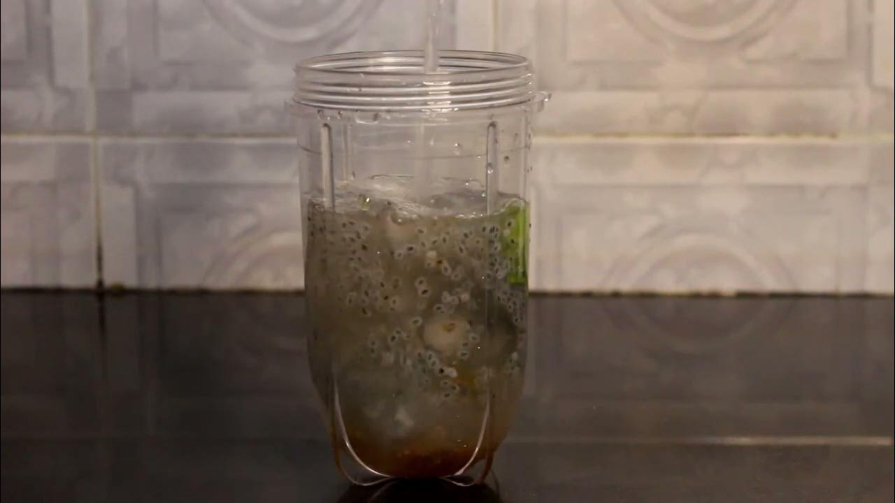 Basil seeds & water healthy seeds Free stock Footage Free Stock