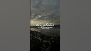 اذكر الله يذكرك ♥️#قران كريم بصوت القارئ ياسر الدوسري#حالات واتس اب#قران كريم