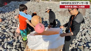 【速報】知床半島に漂着ごみ問題 NPOがエコツアーで一役